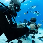 scuba diver wearing sharkbanz