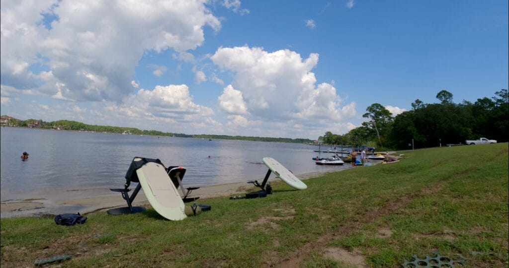 efoils in the grass near the water